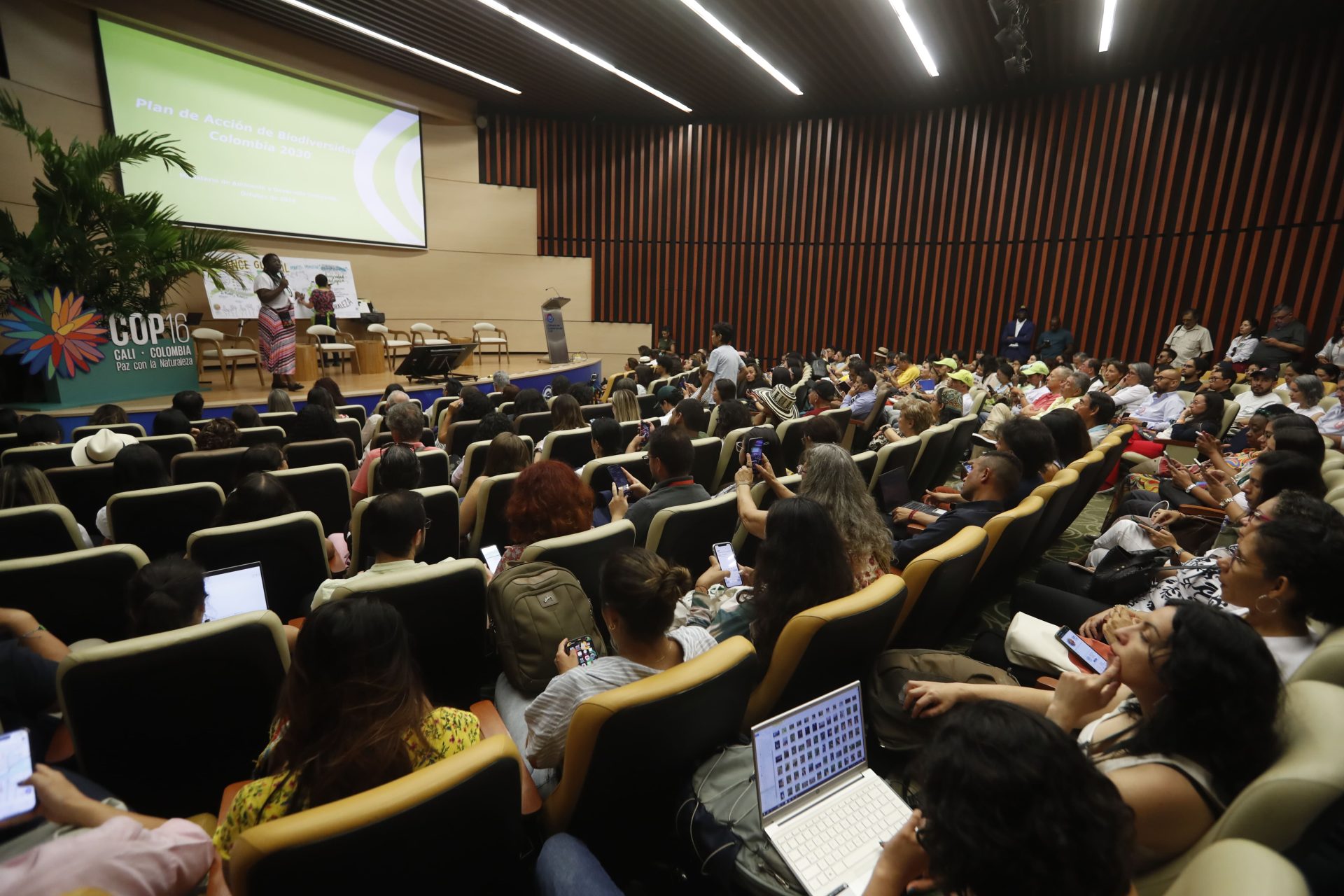 Green City en COP16